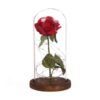 LED Enchanted Rose in Glass Dome Light Up Artificial Flower Gift Valentine Anniversary